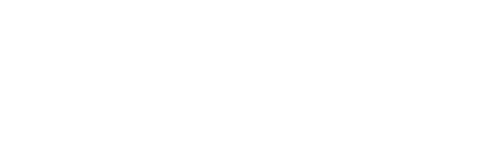 Logo Marque Fleshlight