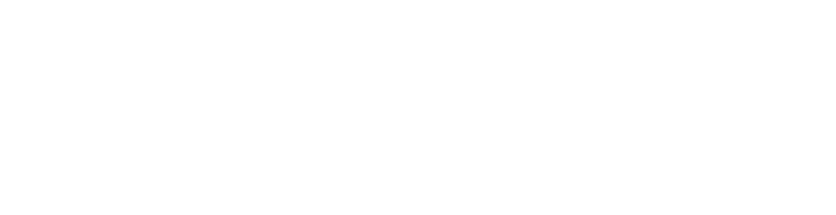 Logo Marque Womanizer